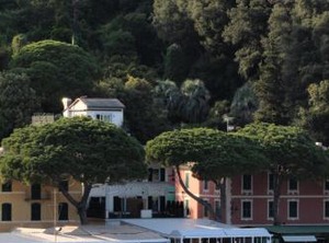 Hotel | Paraggi