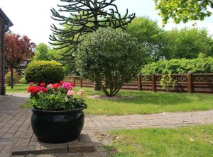 Ferienhaus Wiedingharde Tating | Tating