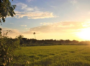 Farm Cottages | Saligao