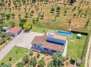 Finca Salat | Selva