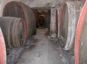 Mittelgasse | Floersheim Dalsheim