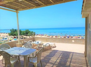 Gambusia | Scoglitti