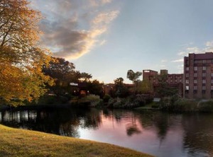 Hilton Parsippany | Cedar Knolls