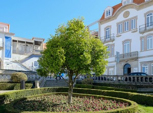 Loft Viseu | Viseu