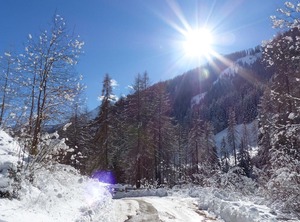 Holiday Strass | Lappago
