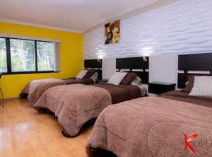 Hostal Kolibri B | Huayna-Capac