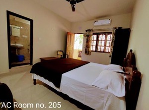 Palolem | Palolem