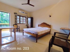 Palolem | Palolem