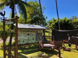Jardim Atlântico Beach Resort | Sao Francisco