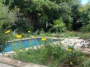 Uzès | Uzes