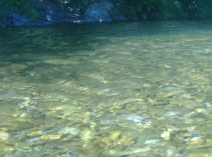 Mas Des Sources | Chambon