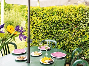 Alcove Bergerac | Bergerac