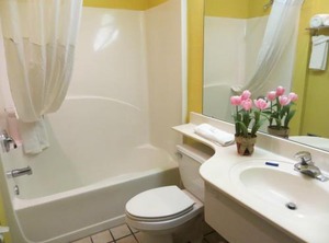 Microtel Inn | Stockbridge
