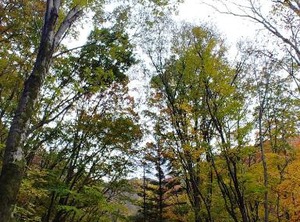Muju Pension | Samgong-ri
