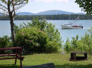 Narrows Camping Resort | Trenton