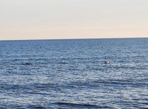Ocean Retreat | Sneads Ferry