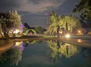 Palazzo Conforti Tree Resort | Marano Marchesato