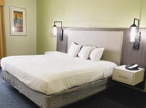 Park Inn | Albany