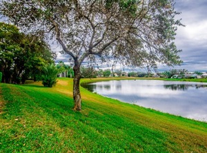 Woods | Sunridge Woods
