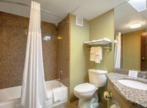 Quality Inn Springs | Holly Springs