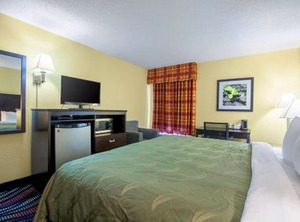 Quality Inn Springs | Holly Springs