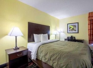 Quality Inn Springs | Holly Springs