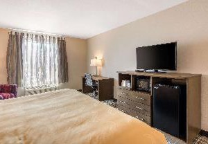 Quality Inn | Carlsbad