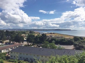 Rock Warren | Dawlish Warren