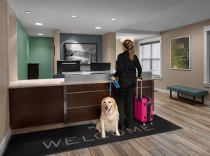 Boston Day Rentals | Dedham