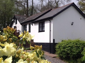 Cottage Devon Countryside Sauna | Tiverton