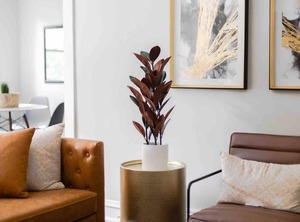 Heart Of Lincoln Square | Ravenswood