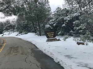 Sequoia National Forest Cabinr | Posey