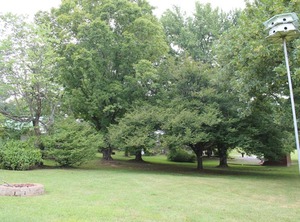 Shawnee Trails | Goreville