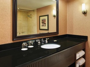 Sheraton Lisle Naperville Hotel | Lisle