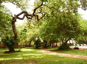 Shoestrings Backpackers | Victoria Falls