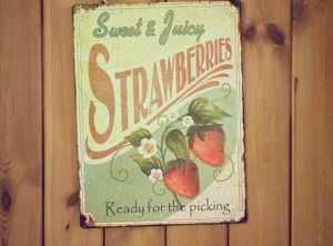 Strawberry Cottage B | Hedge End