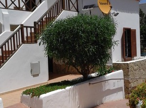 Paraiso Royal | El Madronal