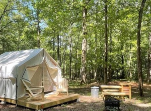 Tentrr State Park Site Mississippi Wall Doxey Woodland | Holly Springs
