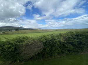 The Paddock | Brora