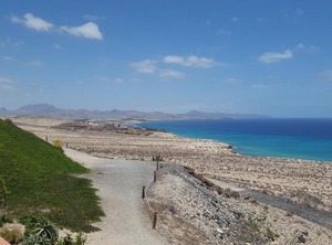 The Paradise Ocean | Pajara
