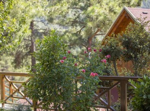 Chalet Spilia Troodos | Spilia