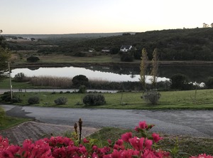 Waterryk Farm | Still Bay