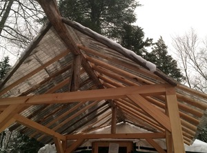 The Wilderness | Chatham