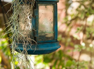 North Adelaide | Crafers
