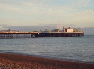 Rock | Brighton
