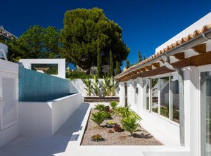 Palma | El Terreno