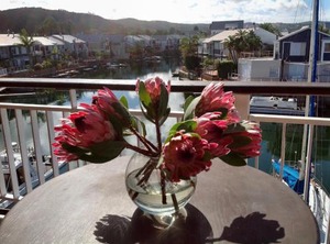 Waterfront Quay West | Knysna Central