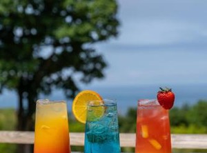 Watermouth Lodges | Watermouth