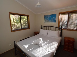Pines | Jindabyne