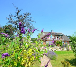 Sonnenkamp 